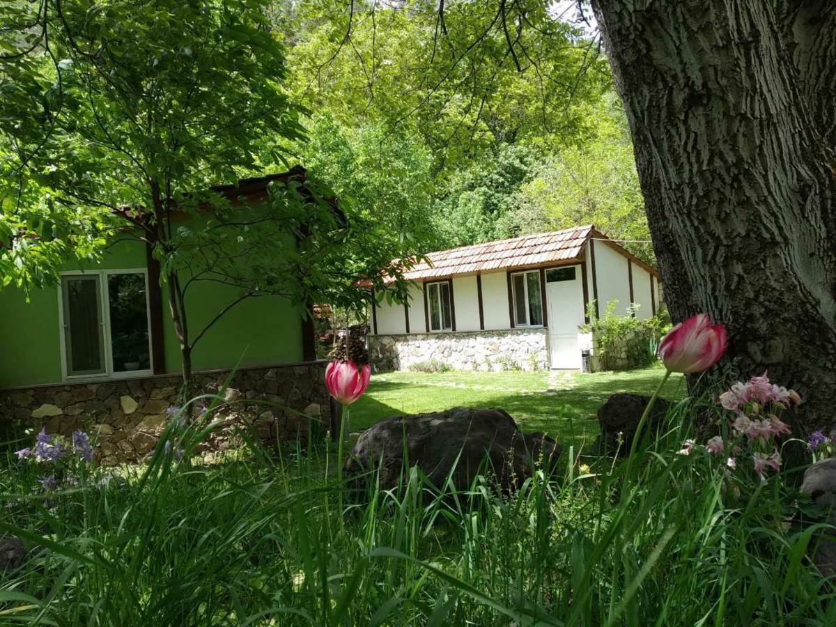 فندق Eco Garden ديليجان المظهر الخارجي الصورة